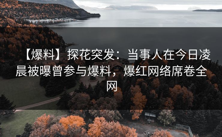 【爆料】探花突发：当事人在今日凌晨被曝曾参与爆料，爆红网络席卷全网