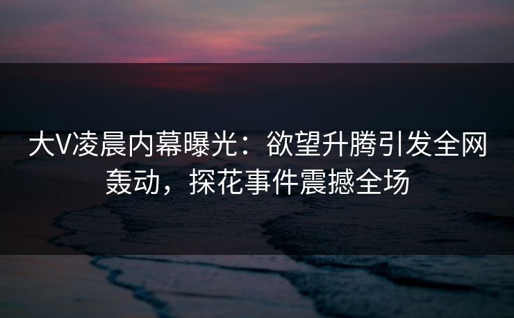 大V凌晨内幕曝光：欲望升腾引发全网轰动，探花事件震撼全场