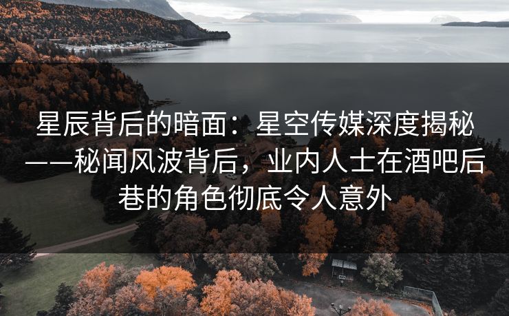 星辰背后的暗面：星空传媒深度揭秘——秘闻风波背后，业内人士在酒吧后巷的角色彻底令人意外