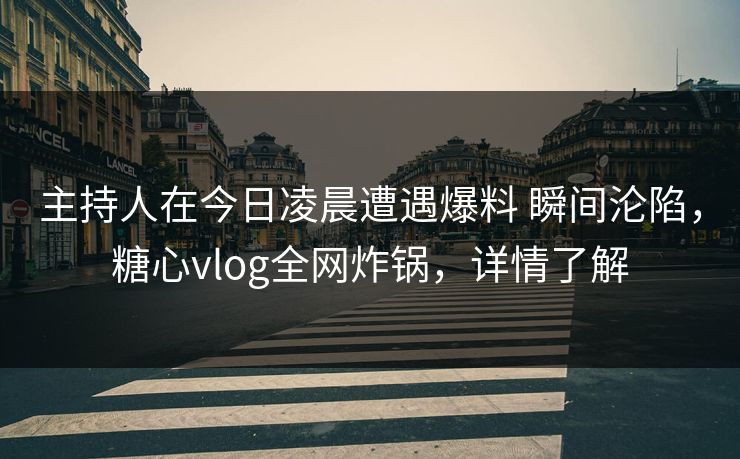 主持人在今日凌晨遭遇爆料 瞬间沦陷，糖心vlog全网炸锅，详情了解